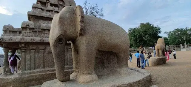 Office Space for Sale in SHOP NO. 6