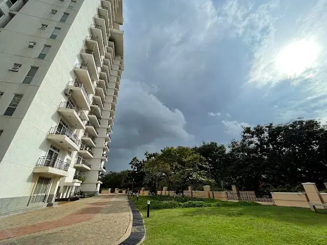 1 BHK Flat for Rent in BENGALURU