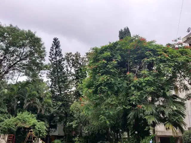 3 BHK Villa for Rent in Koregaon Park