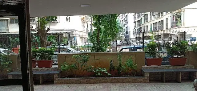 1 BHK Flat for Rent in Various locations including Savita Enclave