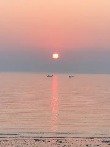 Flat for Rent in 1 Bungalows