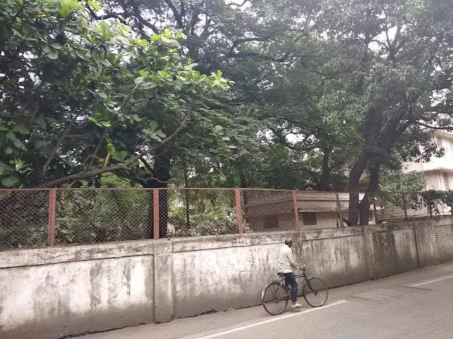 2 BHK Flat for Rent in Juhu Tara Road