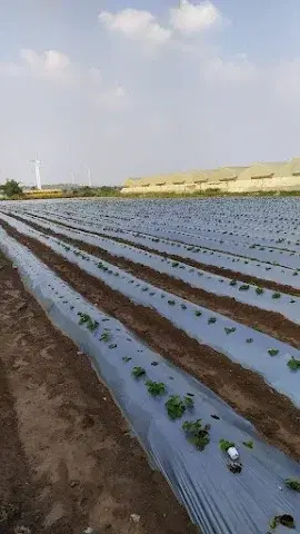 5 BHK Flat for Rent in Film City Road Opposite Oberoi Mall