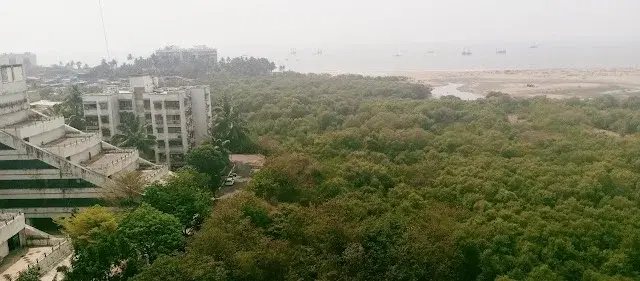 1 BHK Flat for Rent in Juhu Versova link Rd