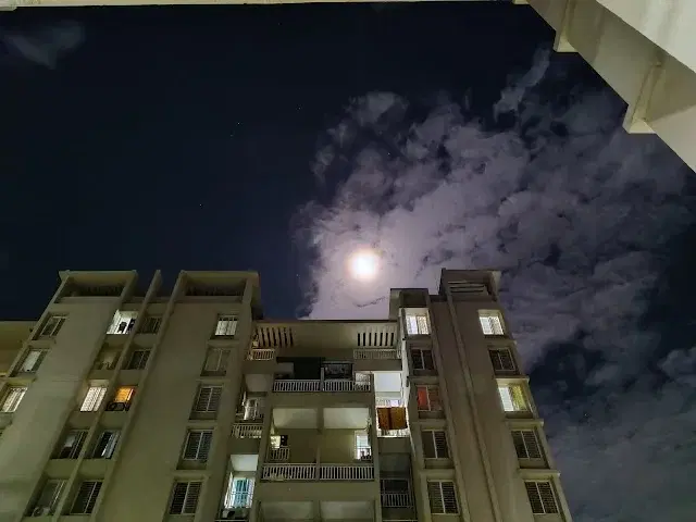 2 BHK Flat for Sale in B-1104