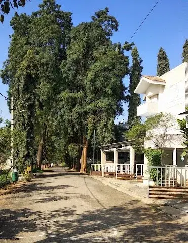 4 BHK Villa for Rent in Whitefield