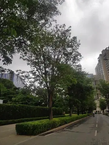 3 BHK Flat for Rent in Bhartiya City