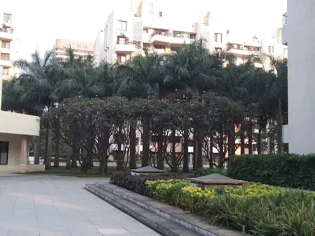 2 BHK Flat for Rent in Magarpatta City