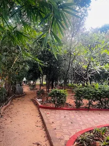 3 BHK Flat for Rent in Kondapur