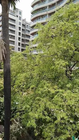 Flat for Sale in 2nd Hasnabad lane near Next to Aristo Sapphire