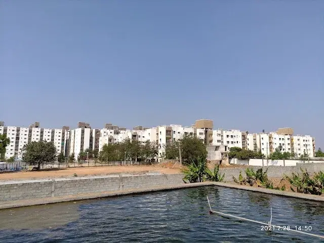 2 BHK Flat for Rent in Sarjapur