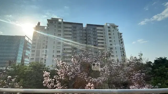 2 BHK Flat for Rent in BENGALURU