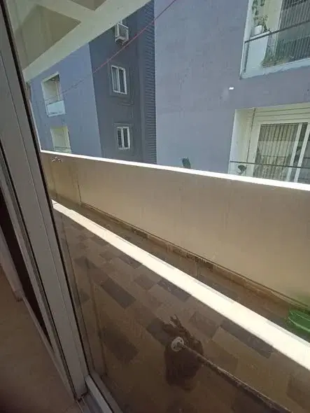 2 BHK Flat for Rent in kondapur sriram nagar colony Botanical Garden road