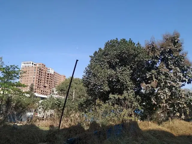 4 BHK Flat for Rent in Whitefield