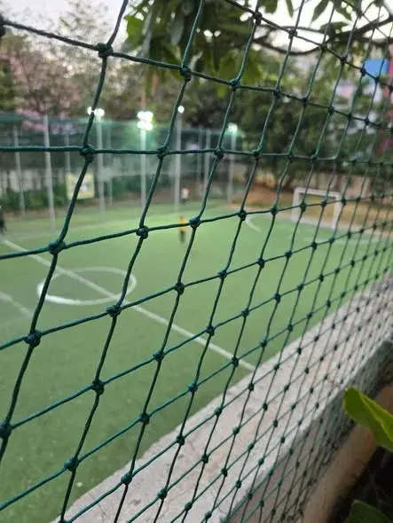 3 BHK Flat for Rent in Bommanahalli