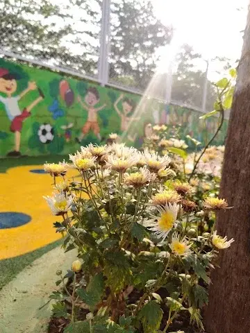 1.5 BHK Flat for Rent in Kashish Park