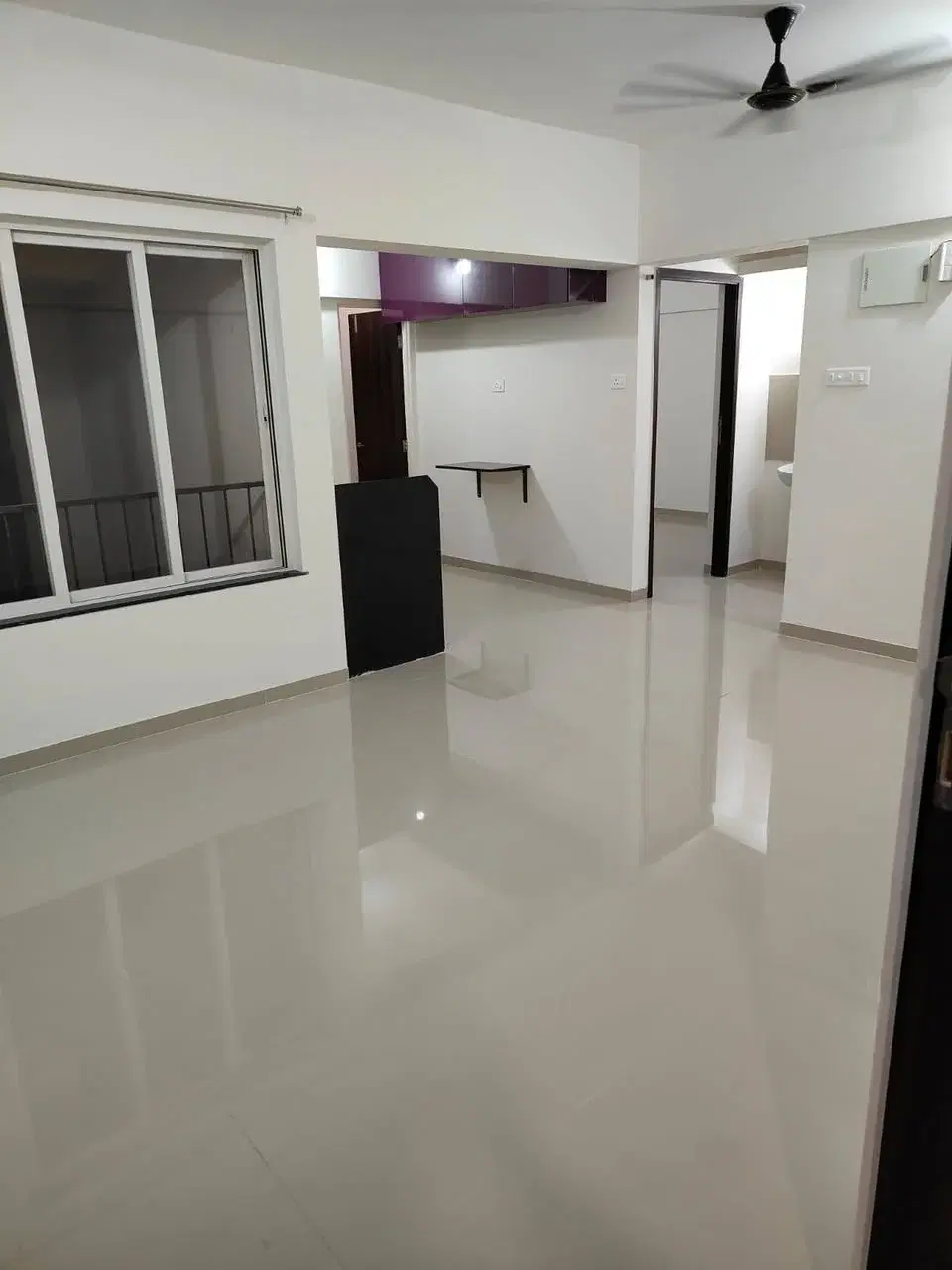 1 BHK Flat for Rent in Baner