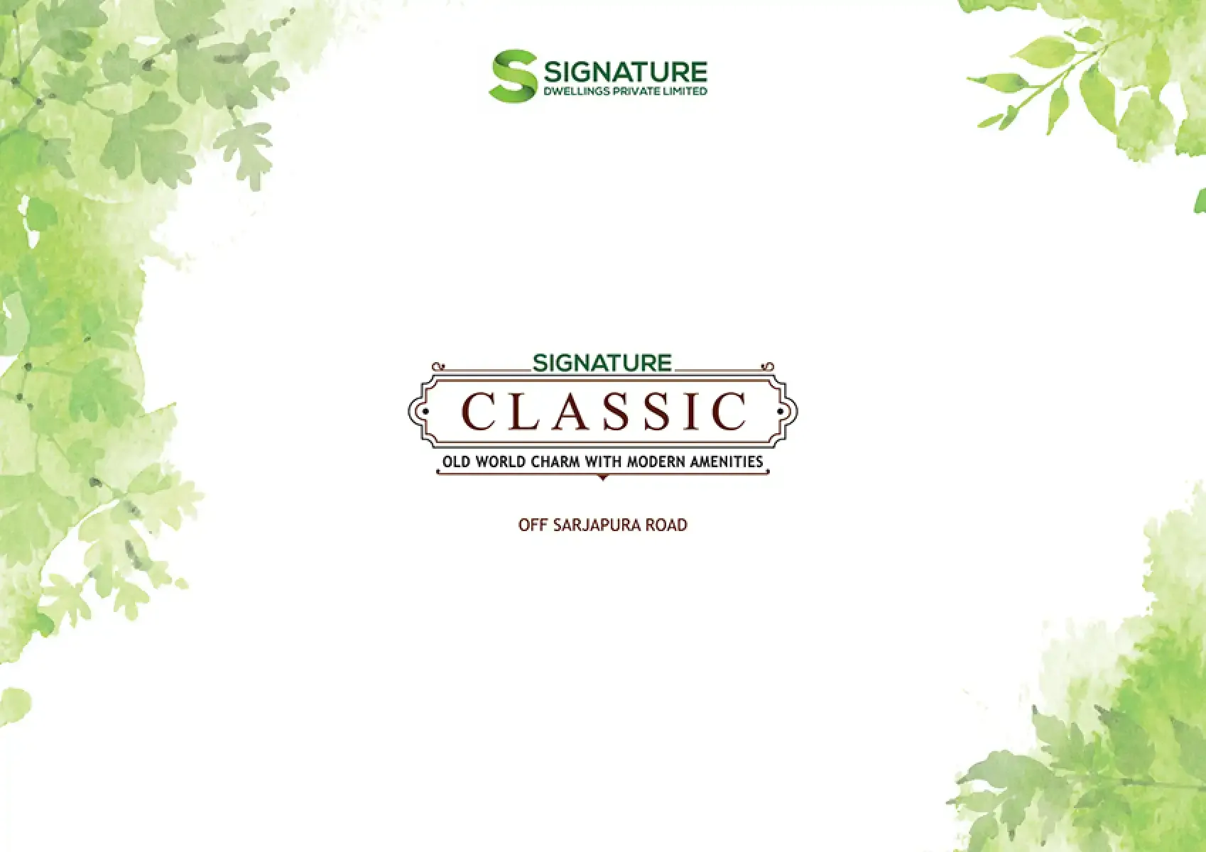 Signature Classic