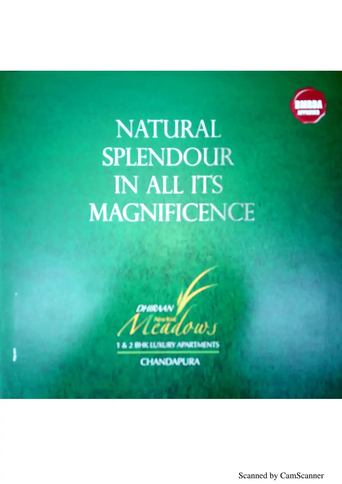 Dhiraan Newyork Meadows