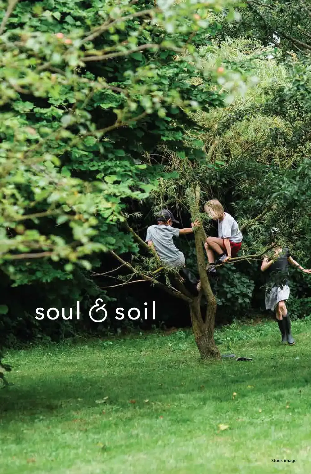 Soul Soil