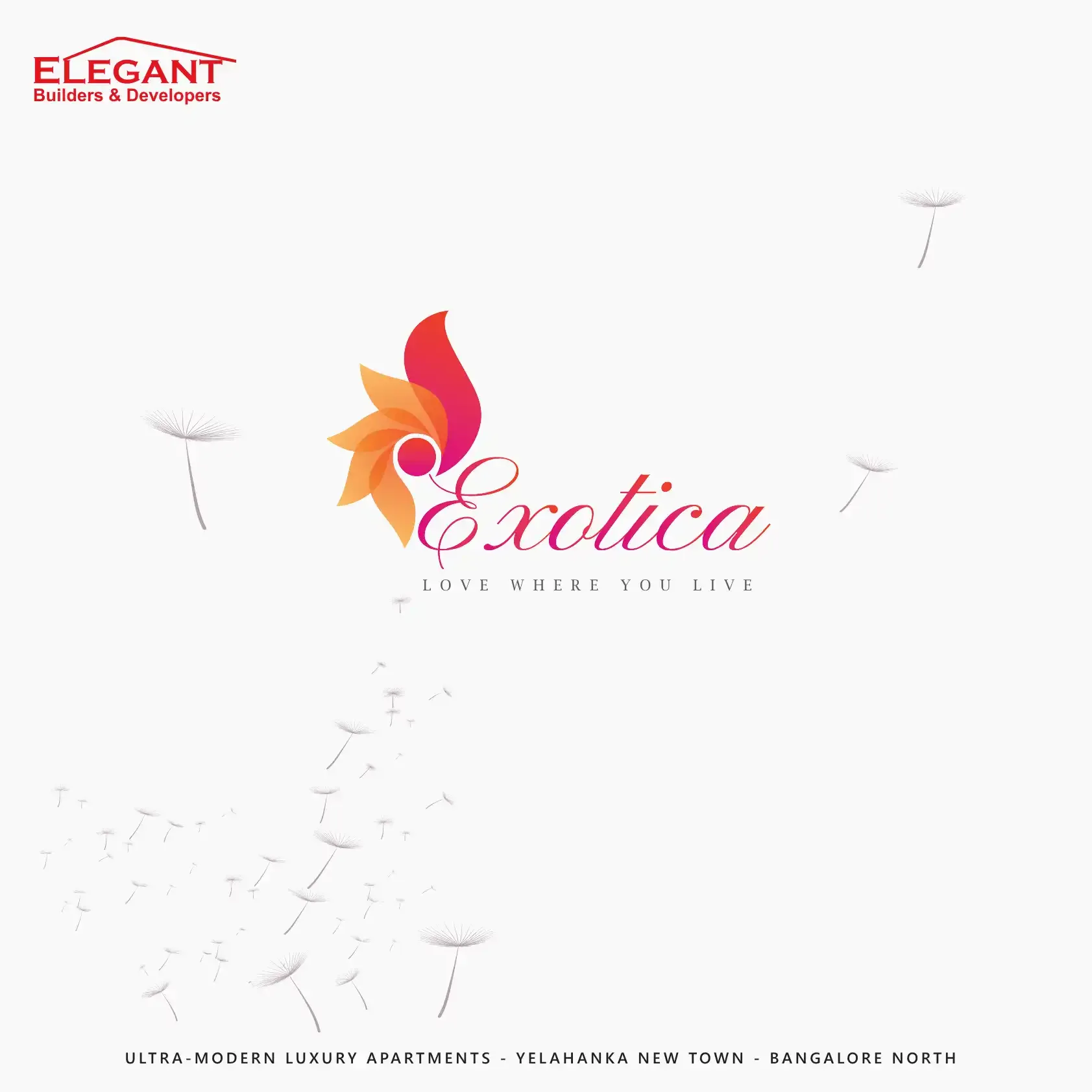 Elegant Exotica