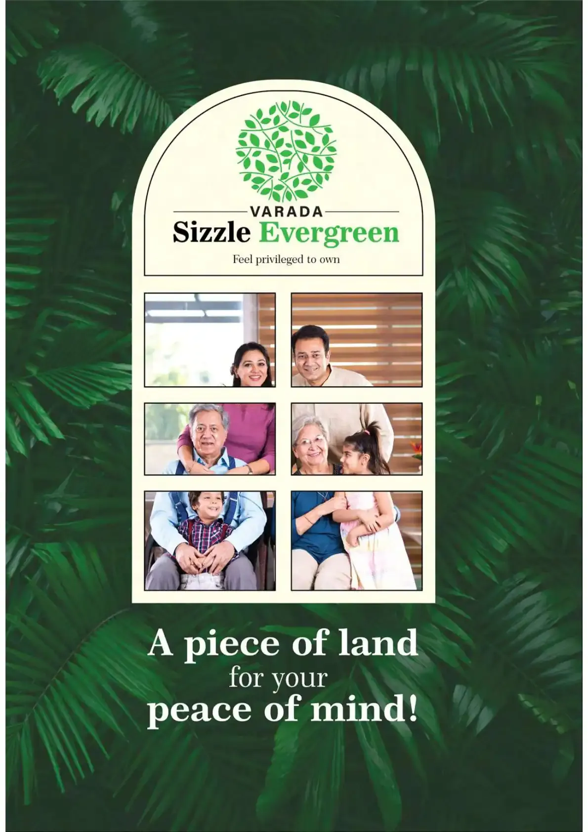 Varada Sizzle Evergreen