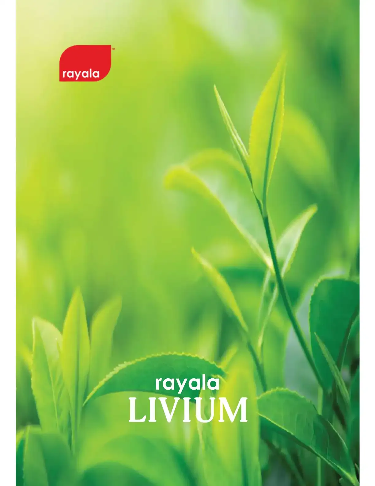 Livium