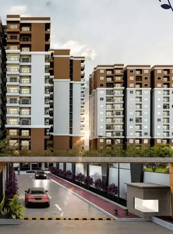 Candeur Novo Gardenia