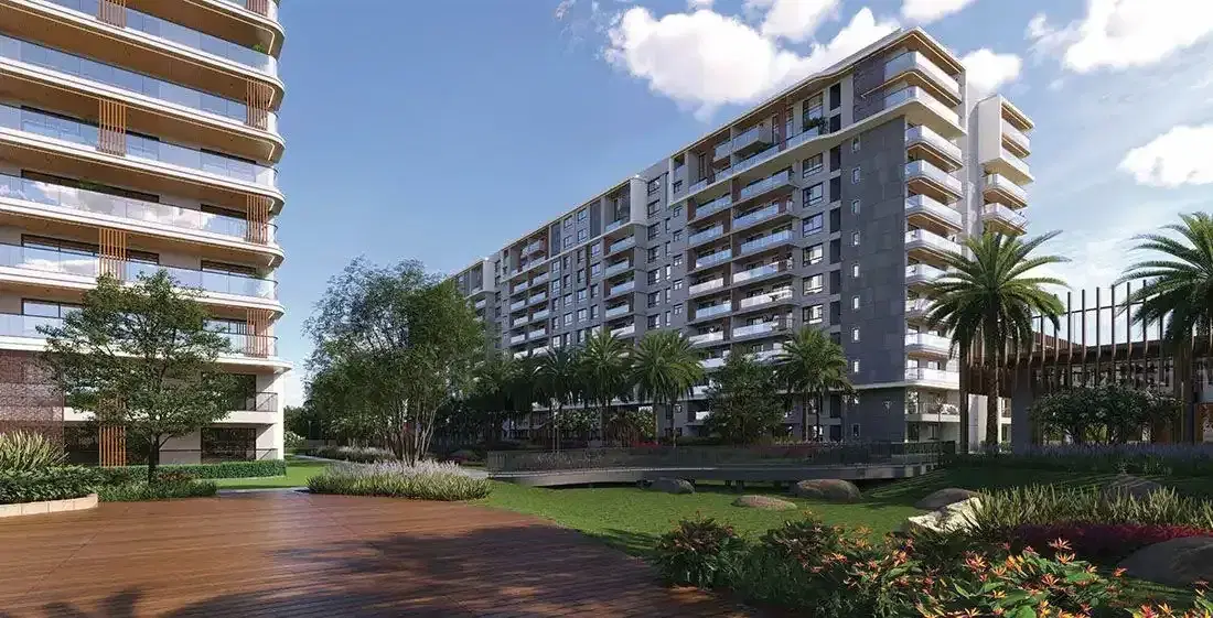 Century Regalia Project 1