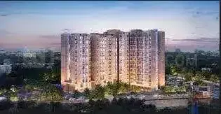 Kino Brigade Orchards