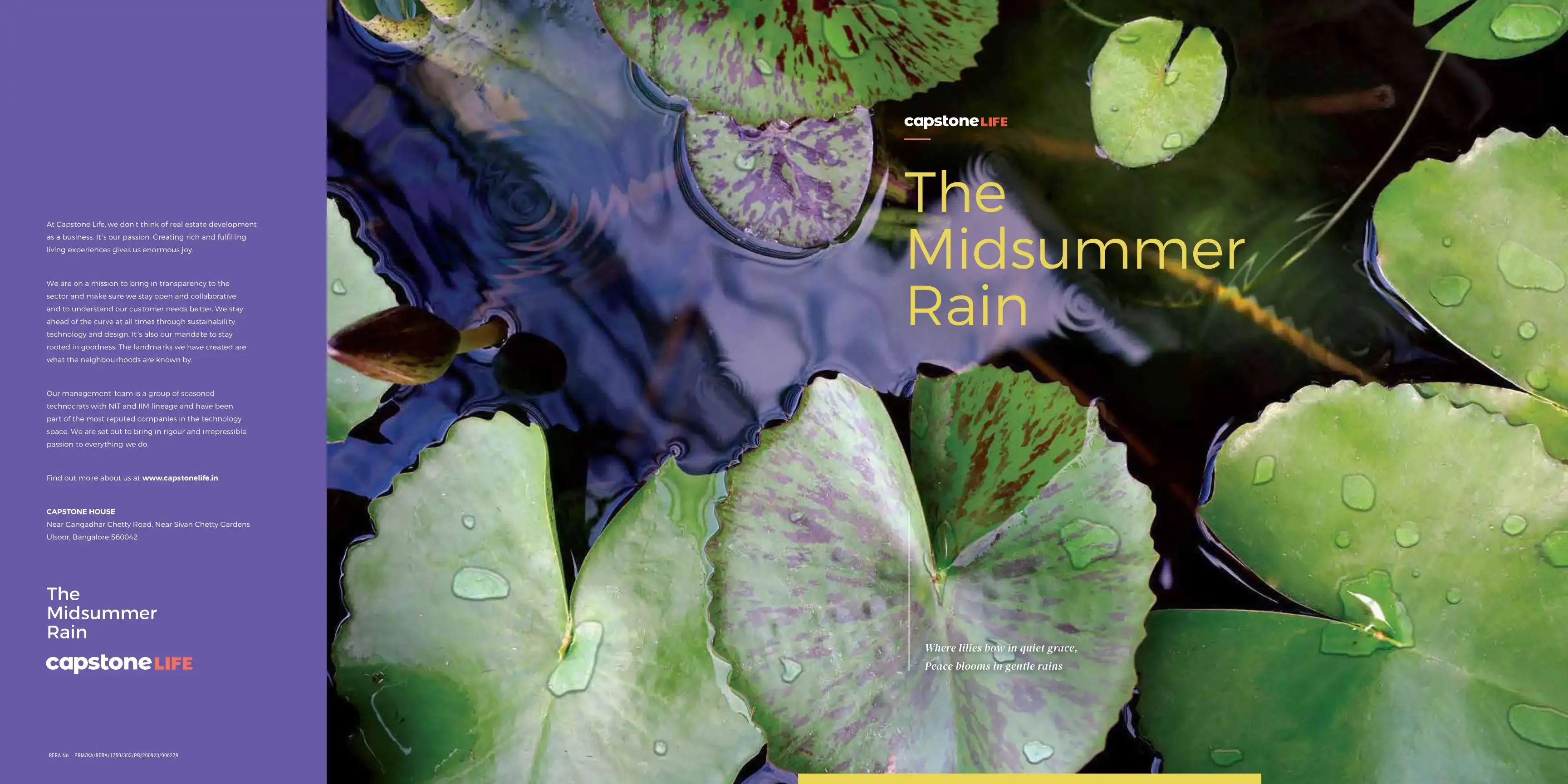 The Midsummer Rainvilla Plot Development Phase 3