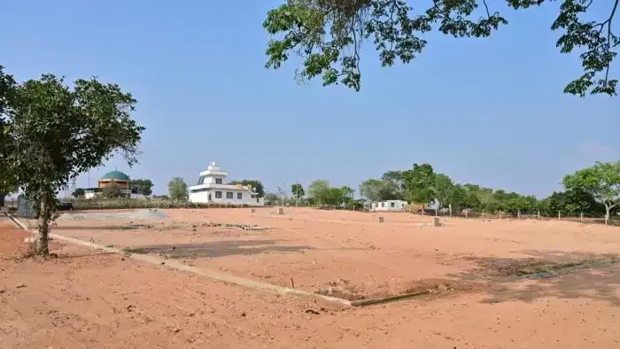 Ambiens Mango Groove