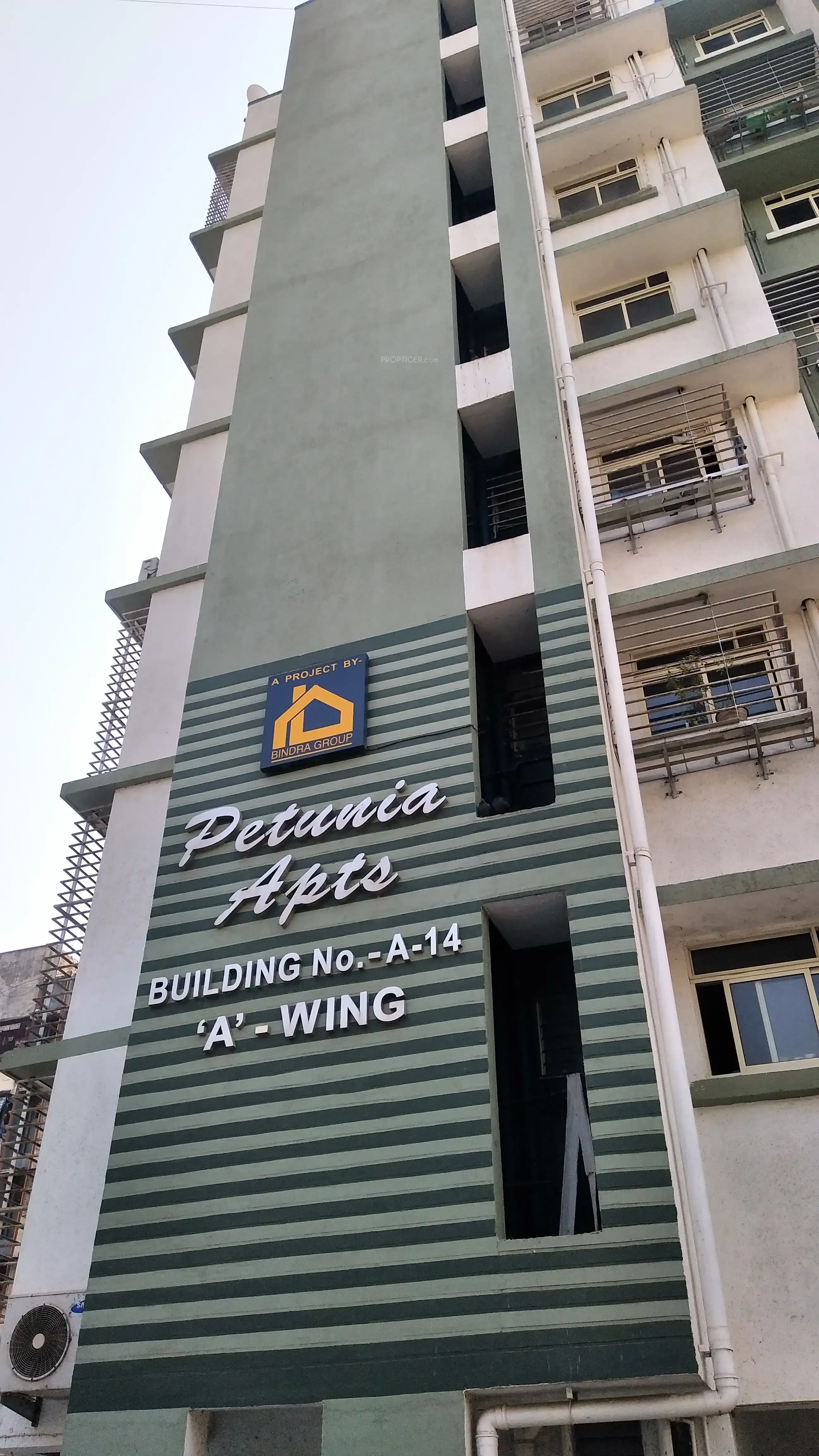 A-14, A Wing Petunia Apts, Bindra Complex