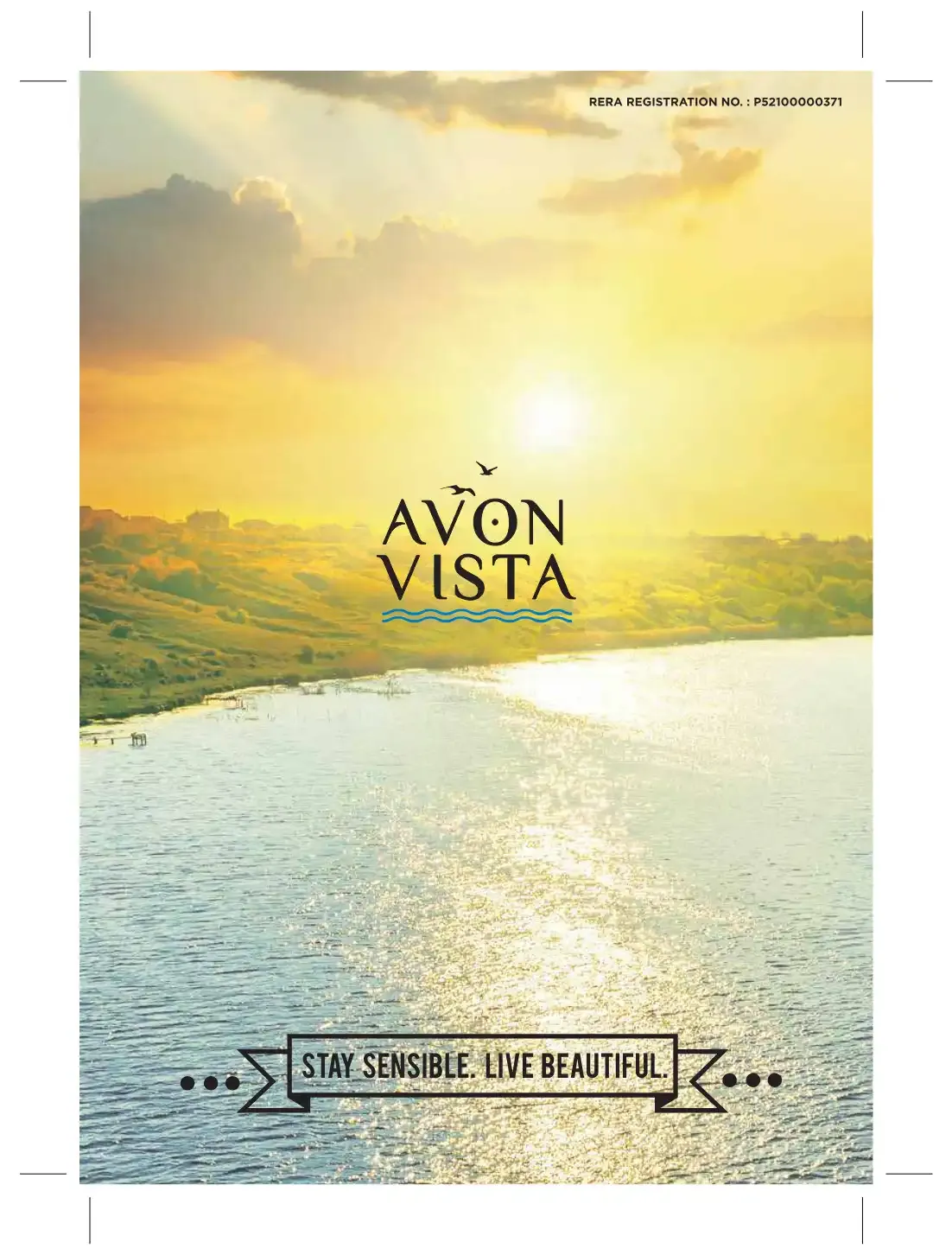 Avon Vista Project