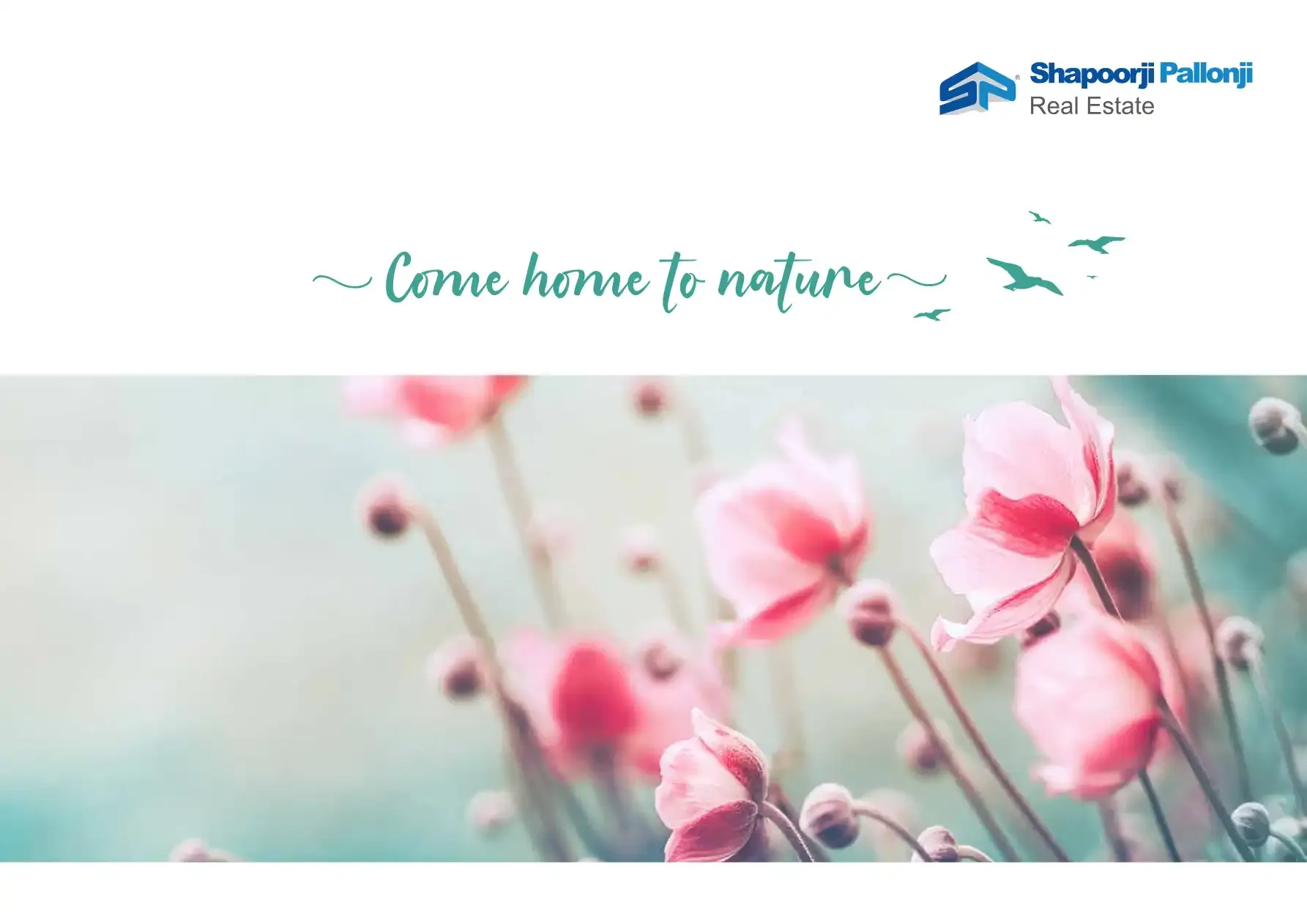 Magnolia Business Centre