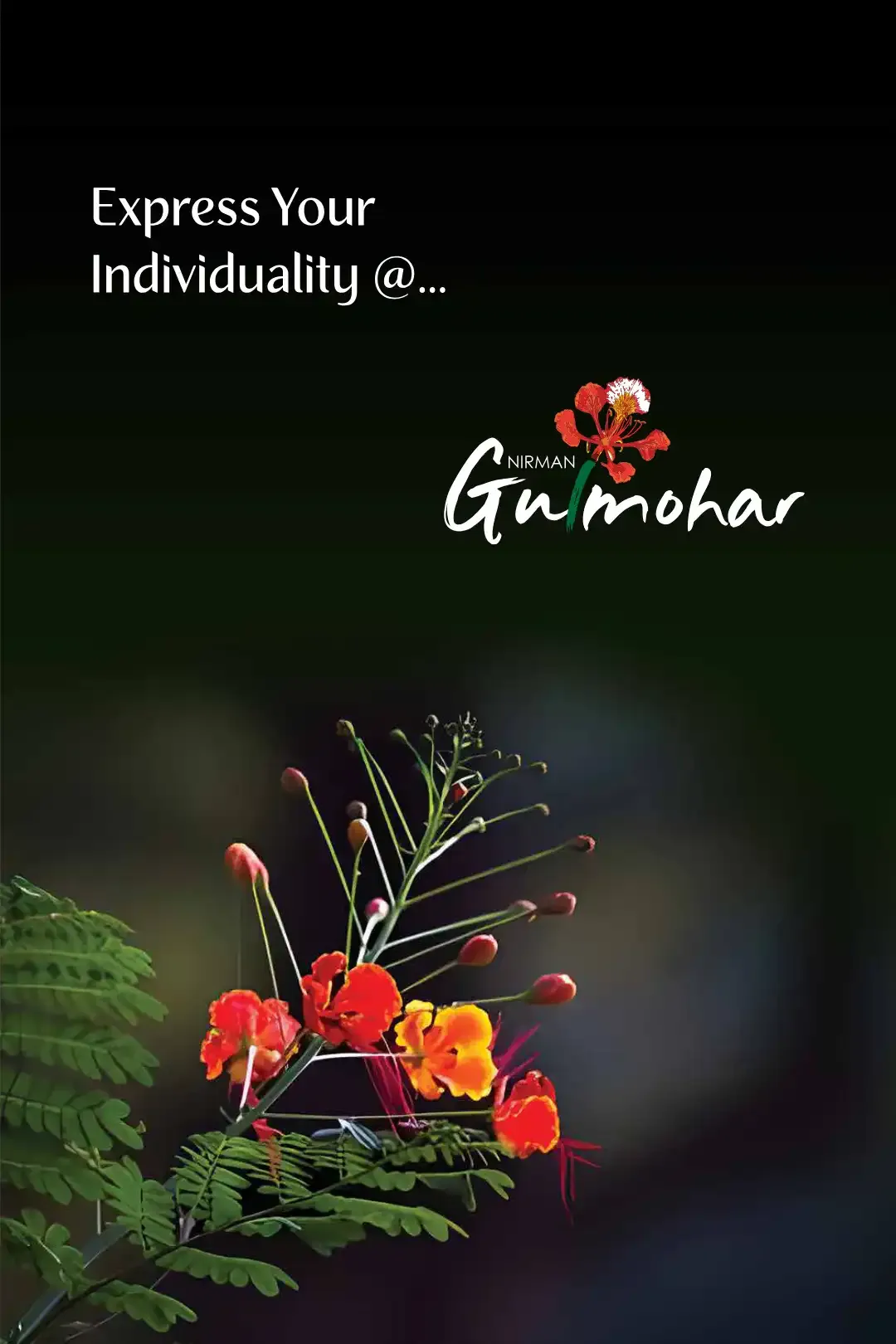 Nirman Gulmohar