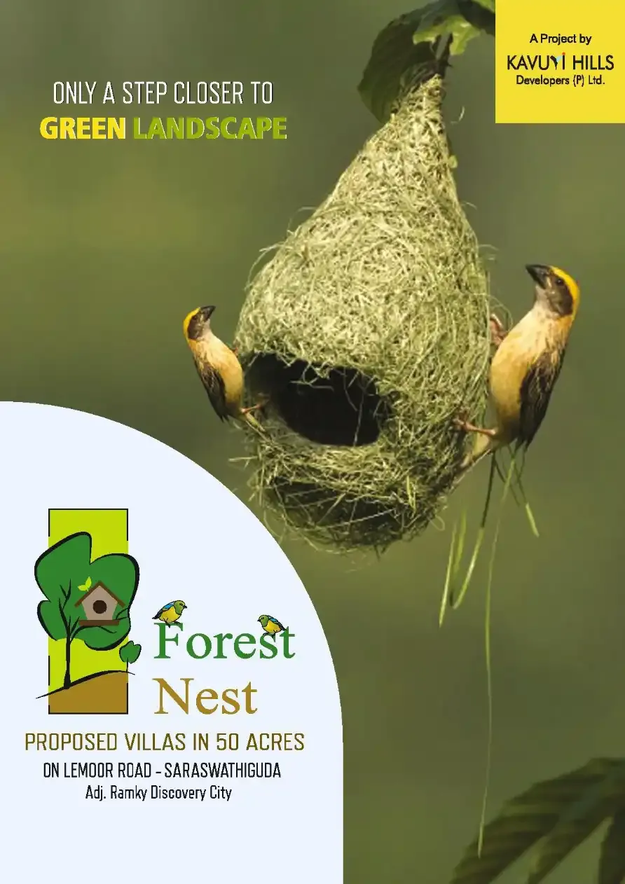 Kavuris Forest Nest