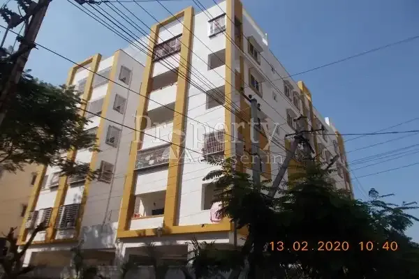 Sree Saibalajis Green Ingrid