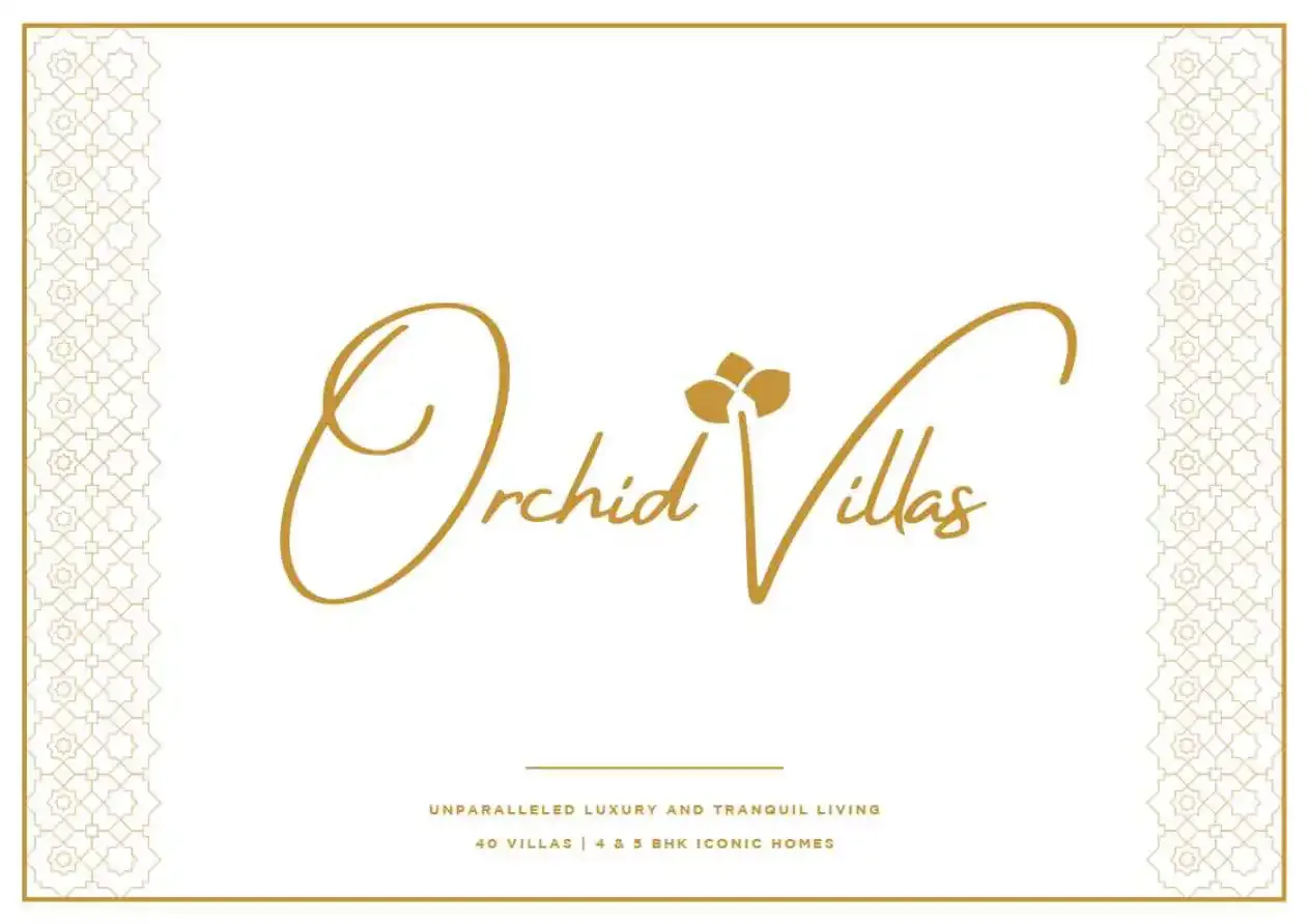 Orchid by Raichandani