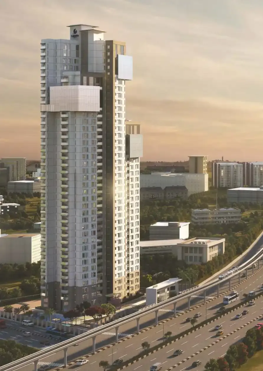 Lemon Tree Apartment