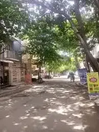 Oyster Sunshine Elite