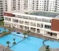 Sai Nishant Daffodills