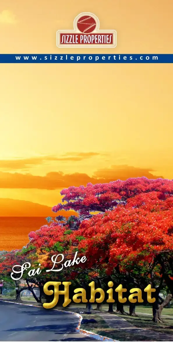Sai Habitat