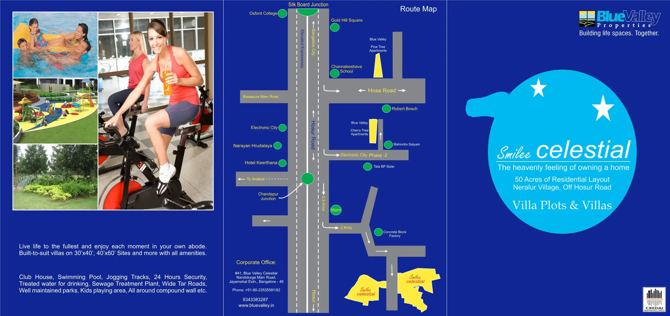 Blue Valley Smilee Celestial