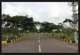 Alisha Celestial Nandi