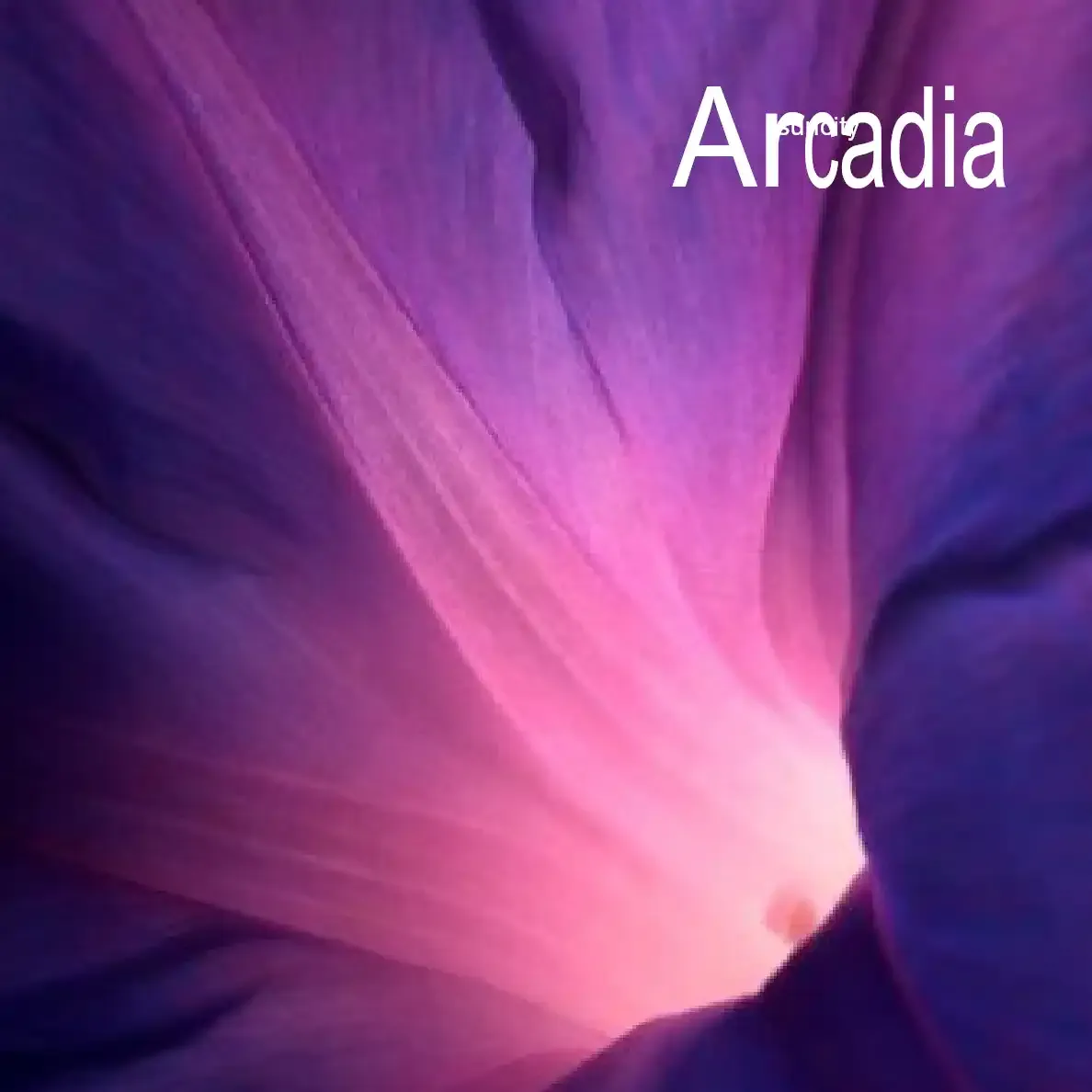 Corporate Arcadia (clpd Arcadia)