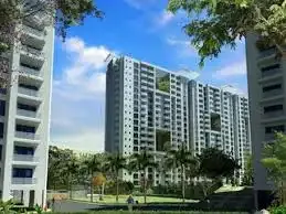 Bearys Sylvester Farms