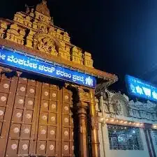 Sri Venkateshwara Sapphire