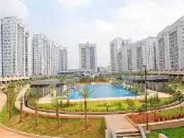 Ambiance Tranquility