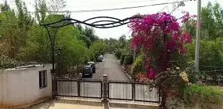 Cleartitle The Little City Villas